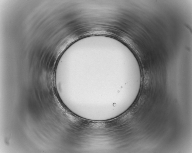 X0000101681282200807311511