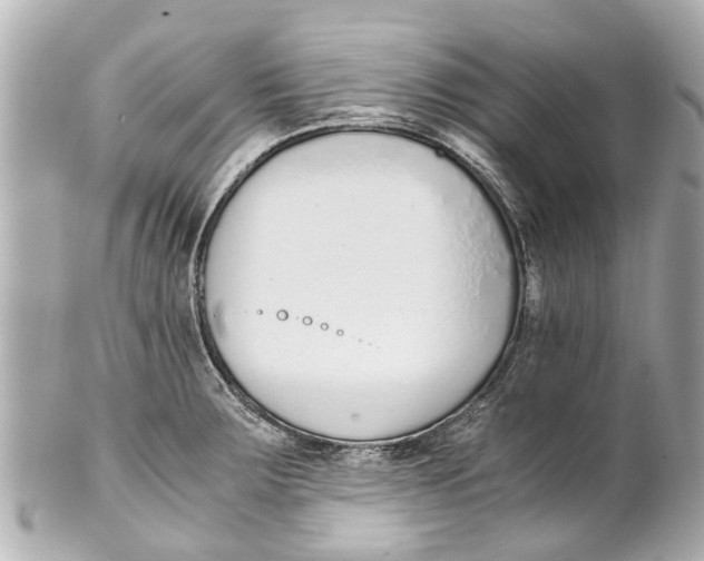 X0000101681283200807311511