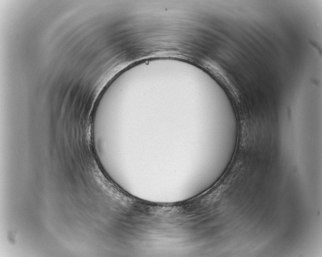 X0000101681284200807311511