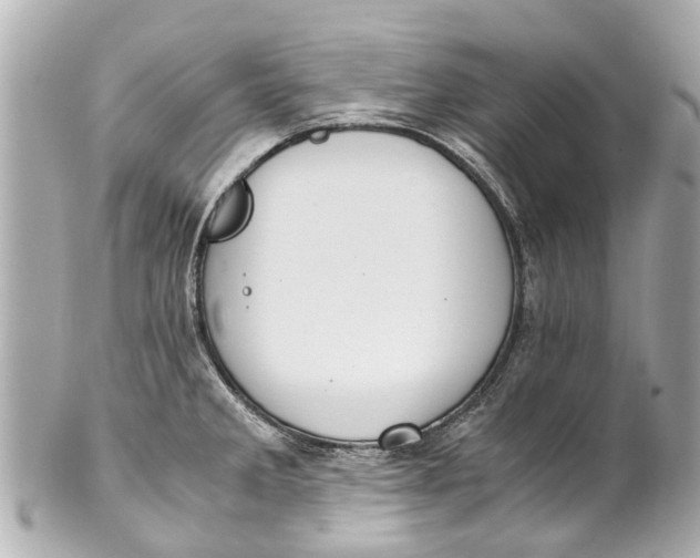 X0000101681285200807311511