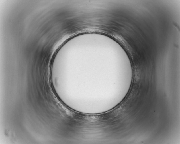 X0000101681286200807311511