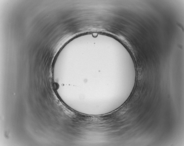 X0000101681287200807311511