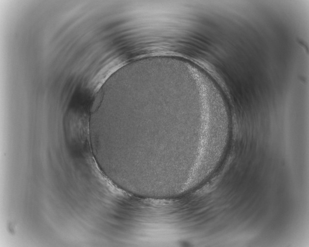 X0000101681289200807311511