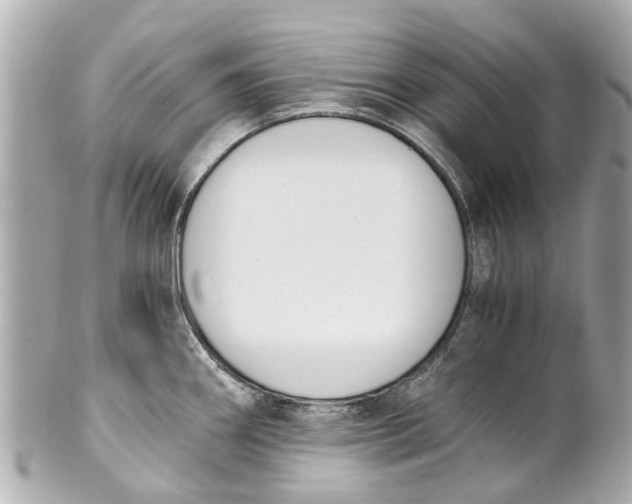 X0000101681290200807311511