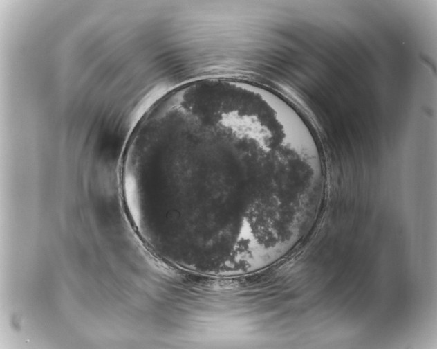 X0000101681291200807311511