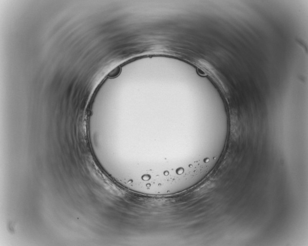 X0000101681292200807311511