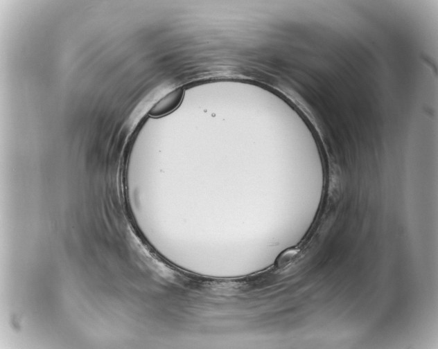 X0000101681293200807311511