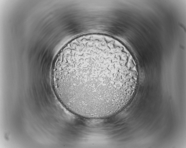 X0000101681294200807311511