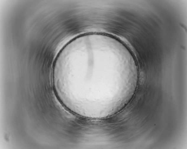 X0000101681295200807311511