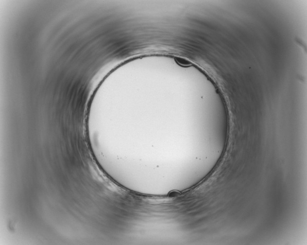 X0000101681296200807311511