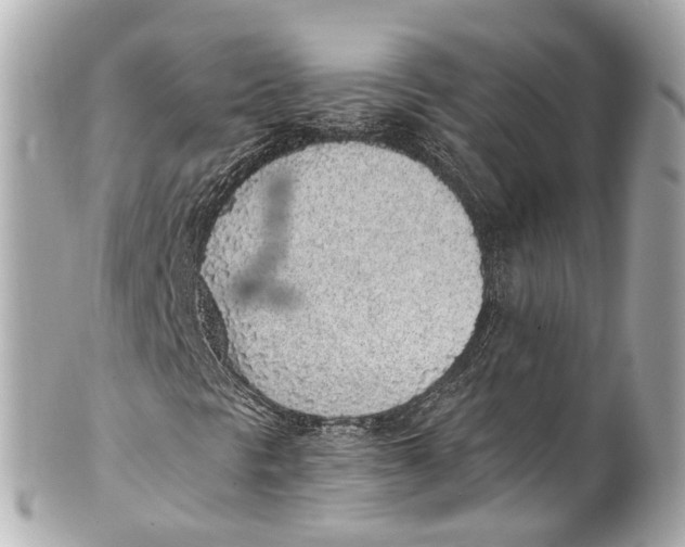 X0000101681297200807311510