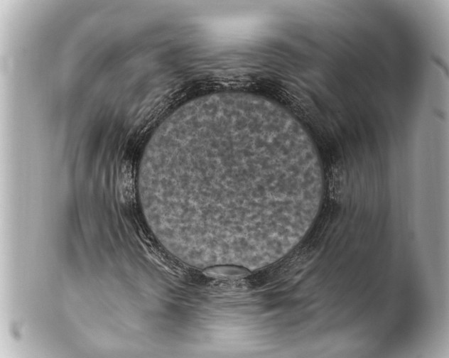 X0000101681298200807311510