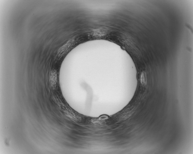 X0000101681299200807311510