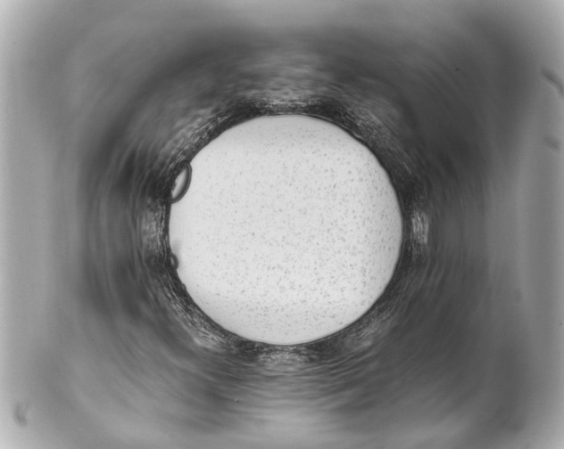 X0000101681300200807311510