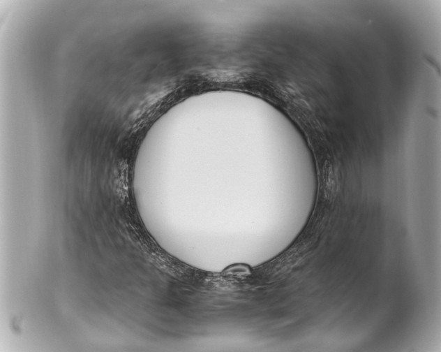 X0000101681301200807311510