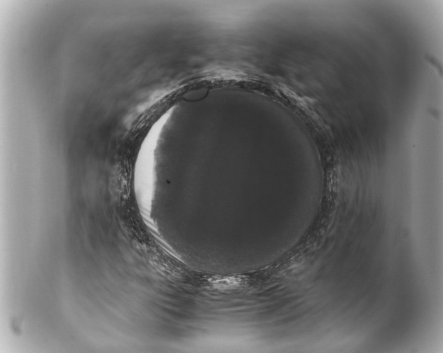 X0000101681303200807311510