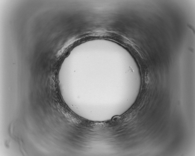 X0000101681304200807311510