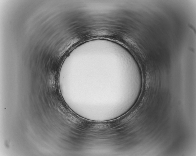 X0000101681305200807311510