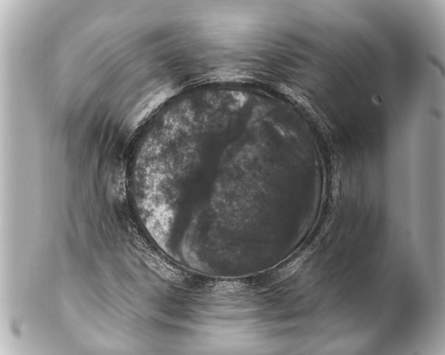 X0000101681306200807311510