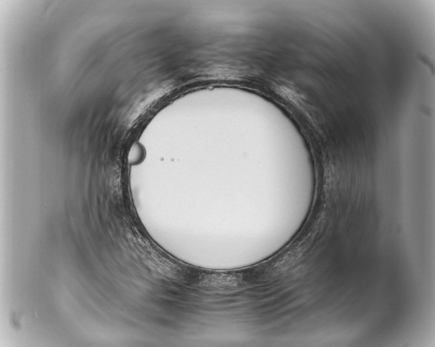 X0000101681307200807311510