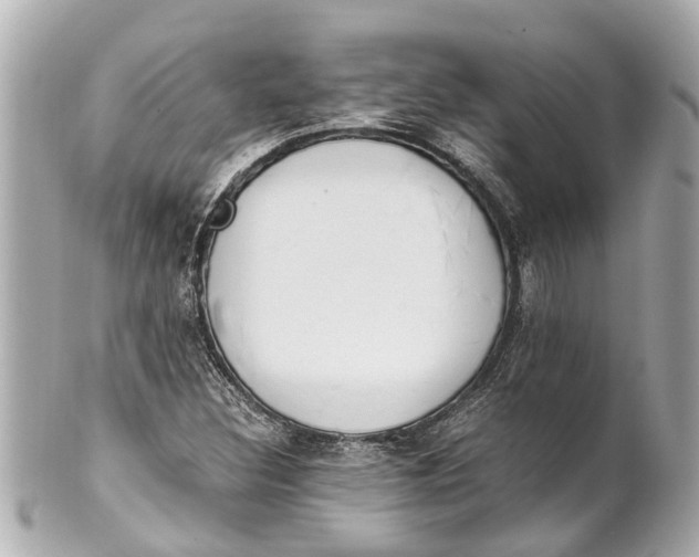 X0000101681308200807311510