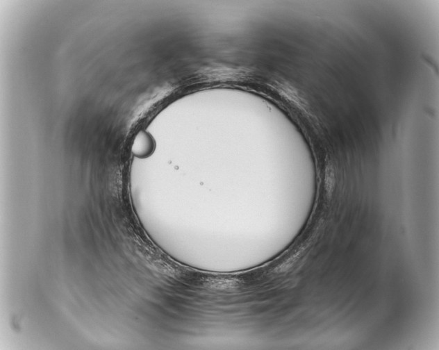 X0000101681309200807311510