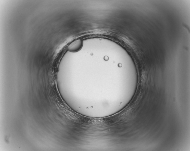 X0000101681310200807311510