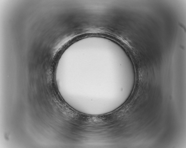 X0000101681311200807311510