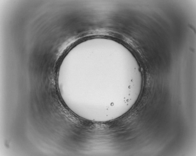 X0000101681312200807311510