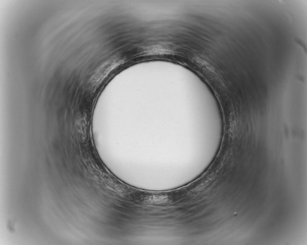 X0000101681313200807311510