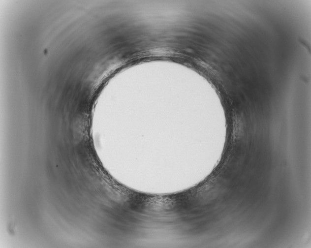 X0000101681314200807311510