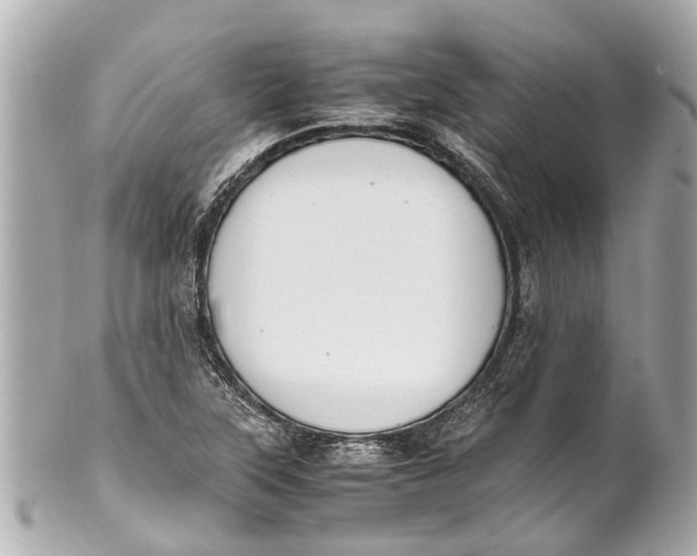 X0000101681315200807311510