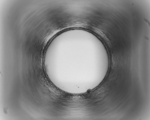 X0000101681316200807311510