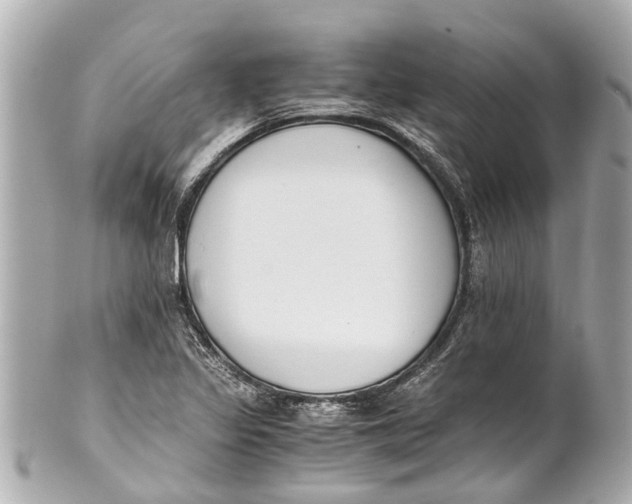 X0000101681317200807311510