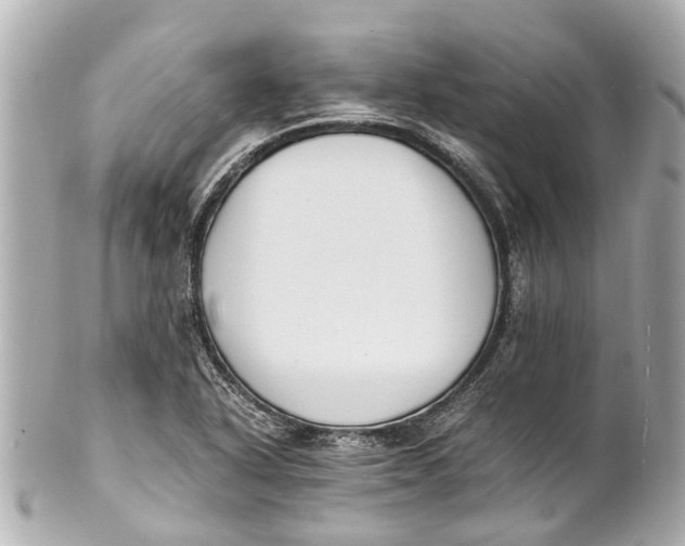 X0000101681318200807311510