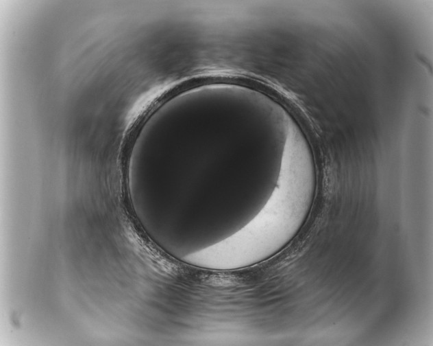 X0000101681319200807311510