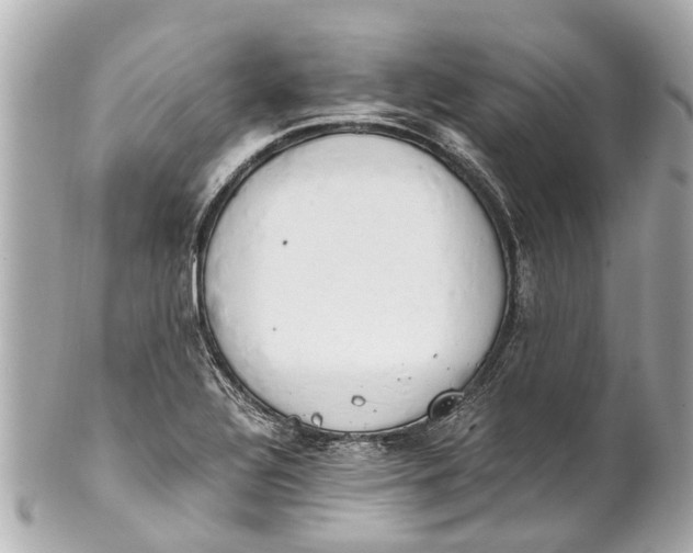 X0000101681320200807311510