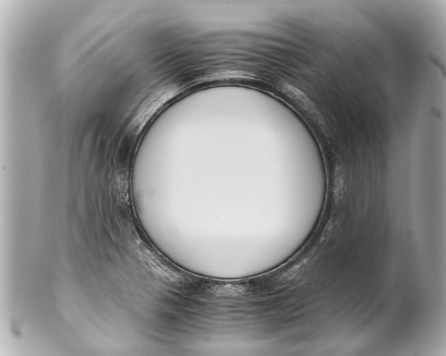 X0000101681321200807311510