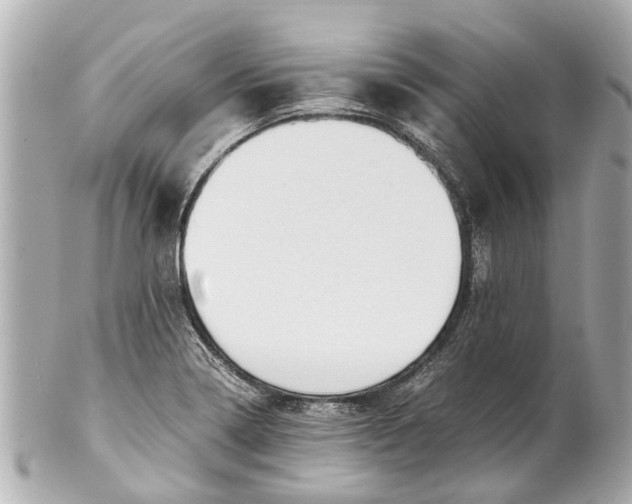 X0000101681322200807311510