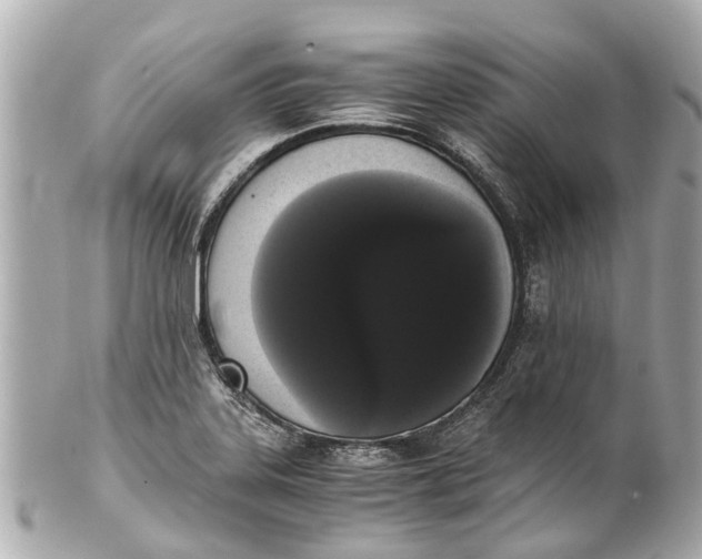 X0000101681323200807311510