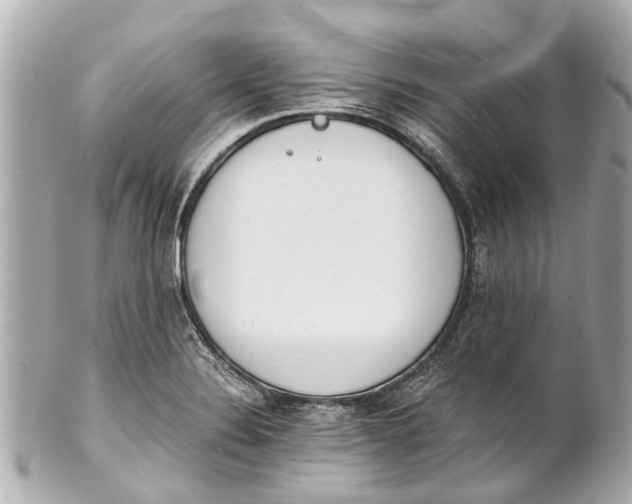 X0000101681324200807311510