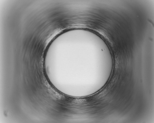 X0000101681325200807311510