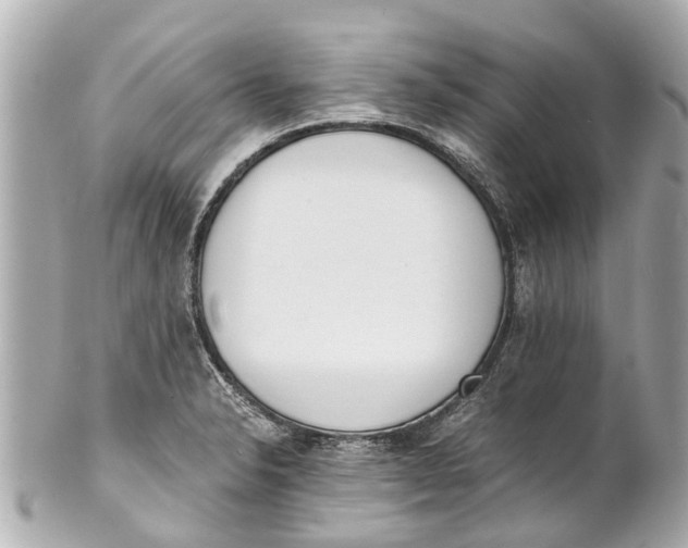 X0000101681326200807311510