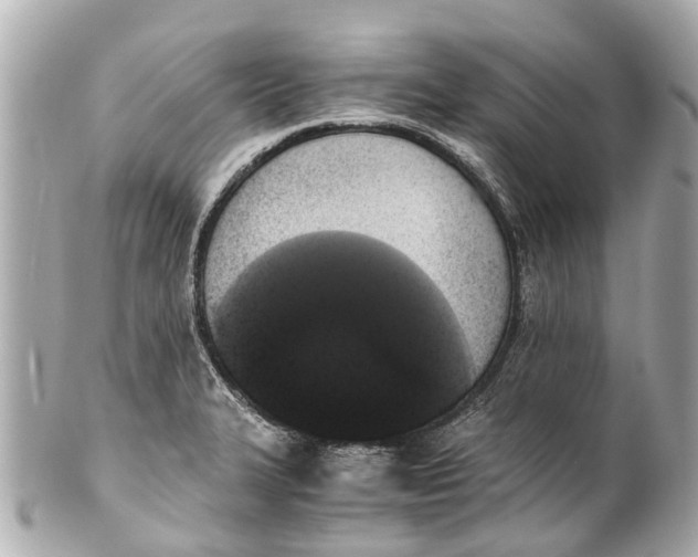 X0000101681327200807311510