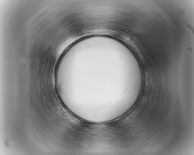 X0000101681328200807311510