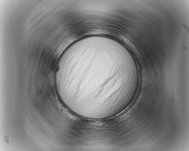 X0000101681329200807311510