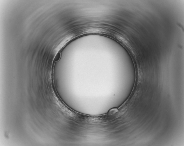 X0000101681330200807311510