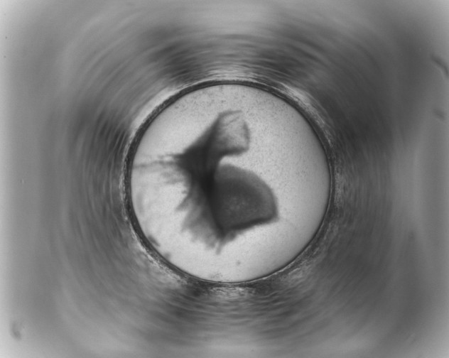 X0000101681331200807311510