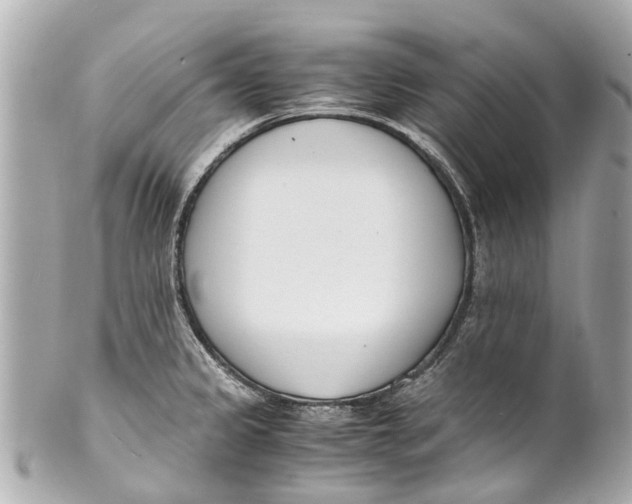 X0000101681333200807311511