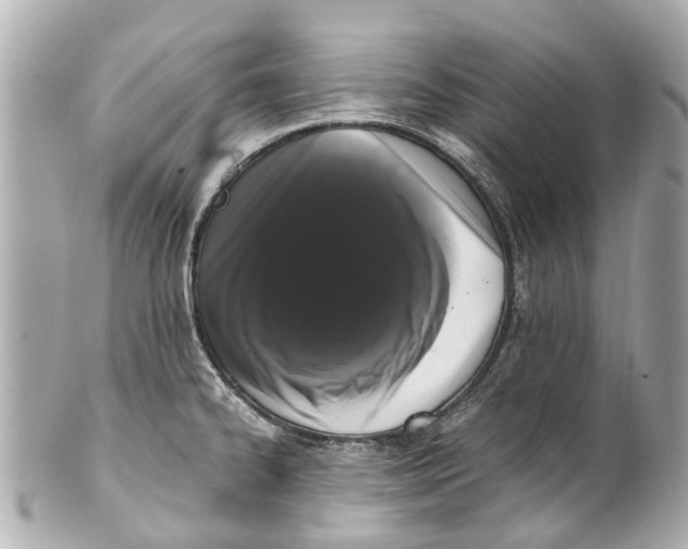 X0000101681334200807311511